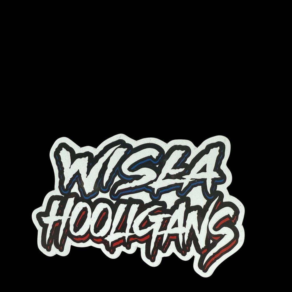 MAGNES WISŁA HOOLIGANS